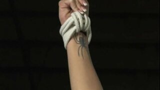 Harmonia - Lavire e Trajnimit të Plotë film